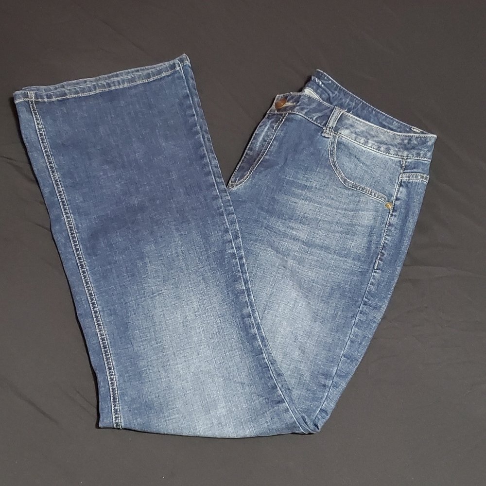 (make offer)lane Bryant Jeans